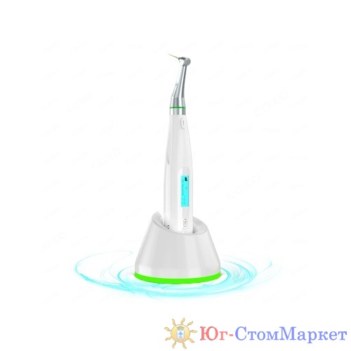 1141_endomotor----c-smart-mini-a