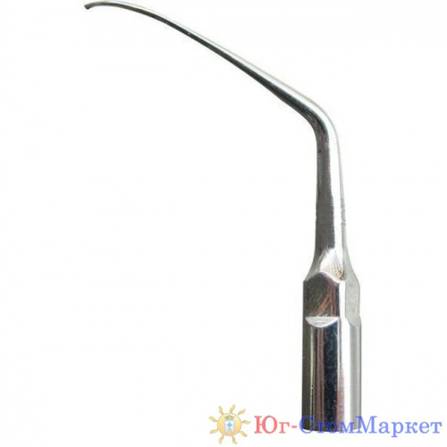 sriona-p2r-woodpecker-kitai-3060