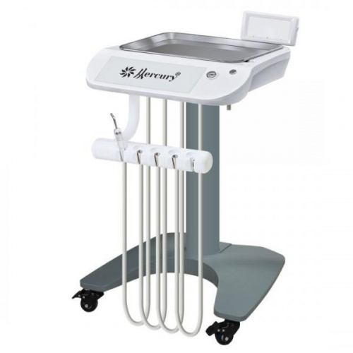 Mercury-550-WorkStation.jpg_1100