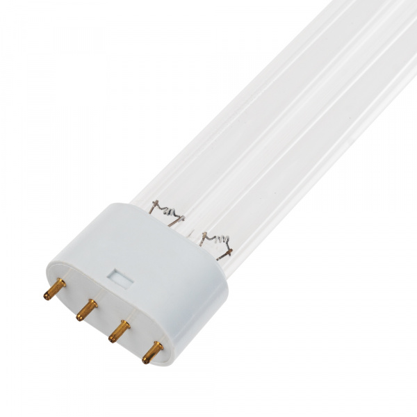 ZW15S19W (3)