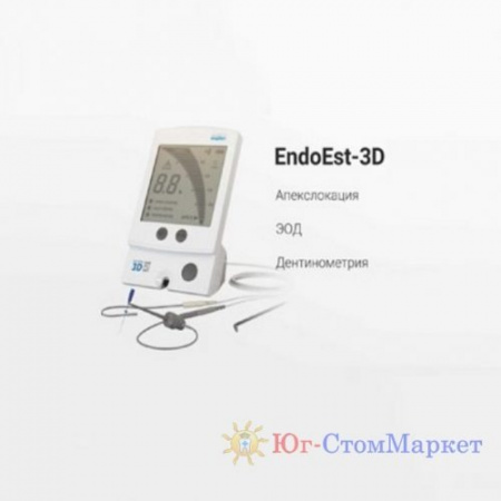 EndoEst-3D