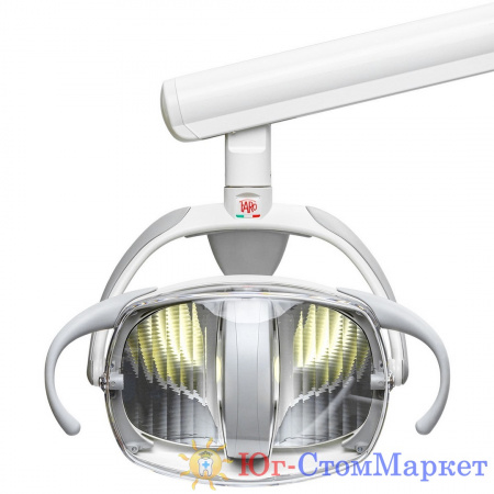 IMG_8677 (Copy) (Copy)