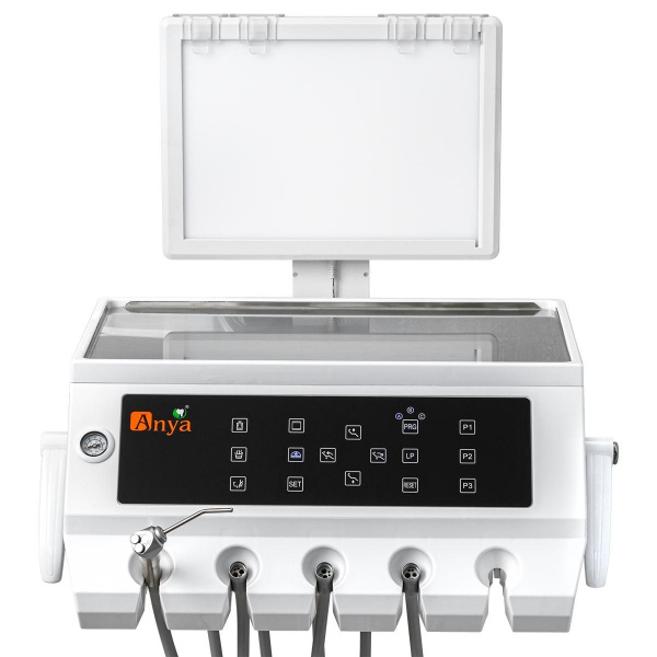 IMG_2908.jpg_1200x1200