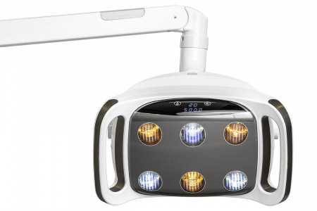 IMG_6538.jpg_1200x1200