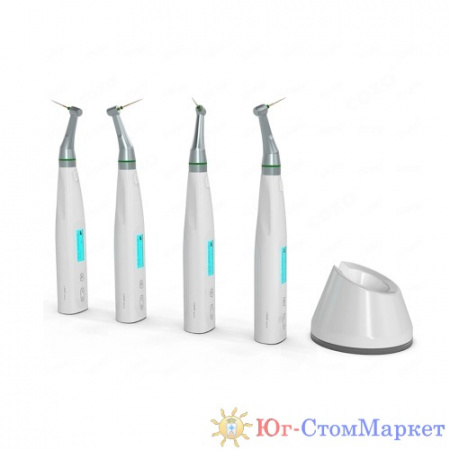 1140_endomotor----c-smart-mini-a